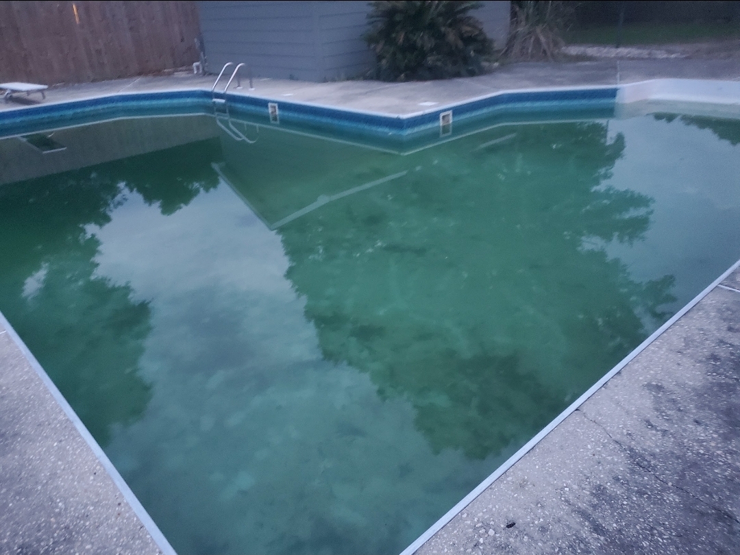 Vinyl liner pool with cloudy green water before recovery